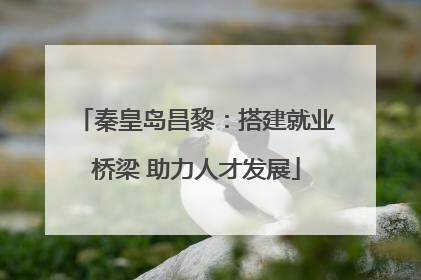 秦皇岛昌黎：搭建就业桥梁 助力人才发展