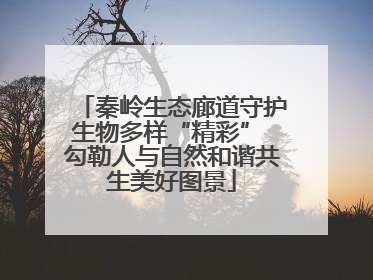 秦岭生态廊道守护生物多样“精彩” 勾勒人与自然和谐共生美好图景