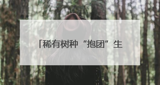 稀有树种“抱团”生长！沈阳成果在Nature杂志发表