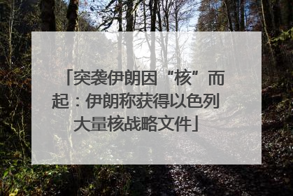 突袭伊朗因“核”而起：伊朗称获得以色列大量核战略文件