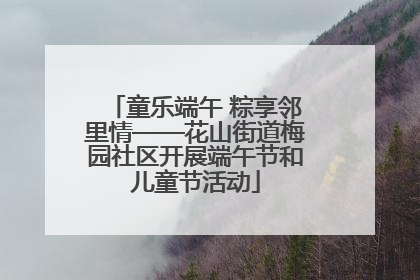 童乐端午 粽享邻里情——花山街道梅园社区开展端午节和儿童节活动