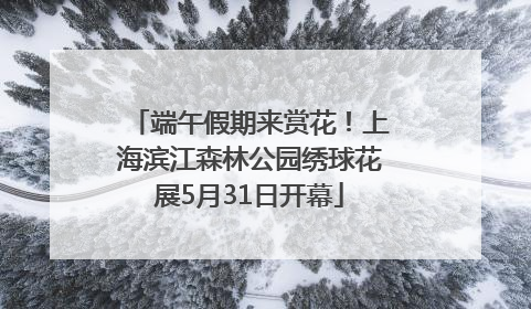 端午假期来赏花！上海滨江森林公园绣球花展5月31日开幕
