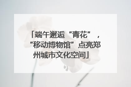 端午邂逅“青花”，“移动博物馆”点亮郑州城市文化空间