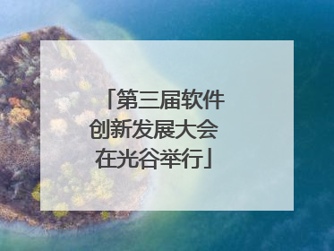 第三届软件创新发展大会在光谷举行
