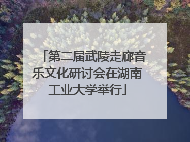 第二届武陵走廊音乐文化研讨会在湖南工业大学举行