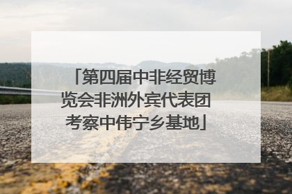 第四届中非经贸博览会非洲外宾代表团考察中伟宁乡基地