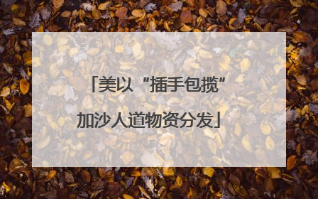 美以“插手包揽”加沙人道物资分发