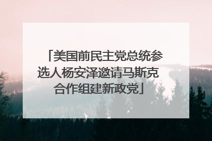 美国前民主党总统参选人杨安泽邀请马斯克合作组建新政党