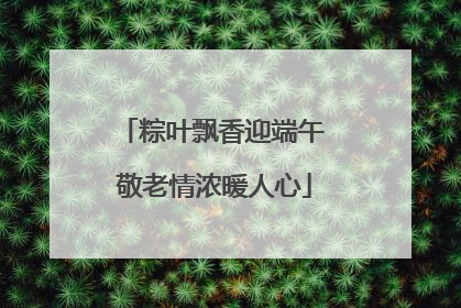 粽叶飘香迎端午 敬老情浓暖人心