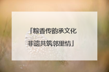 粽香传韵承文化 非遗共筑邻里情