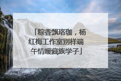 粽香飘珞珈，杨红梅工作室别样端午情暖藏族学子
