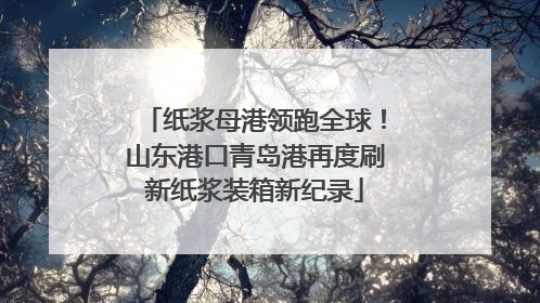 纸浆母港领跑全球！山东港口青岛港再度刷新纸浆装箱新纪录