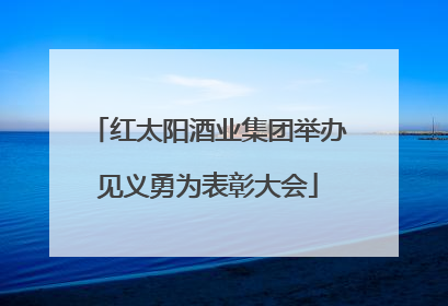 红太阳酒业集团举办见义勇为表彰大会