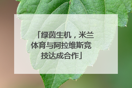 绿茵生机，米兰体育与阿拉维斯竞技达成合作