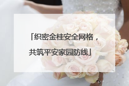 织密金桂安全网格，共筑平安家园防线