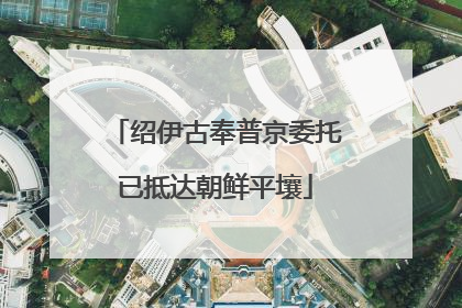 绍伊古奉普京委托已抵达朝鲜平壤
