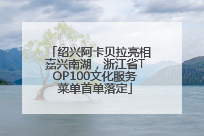 绍兴阿卡贝拉亮相嘉兴南湖，浙江省TOP100文化服务菜单首单落定