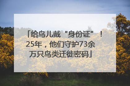给鸟儿戴“身份证”！25年，他们守护73余万只鸟类迁徙密码