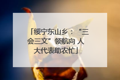 绥宁东山乡：“三会三文”领航向 人大代表助农忙
