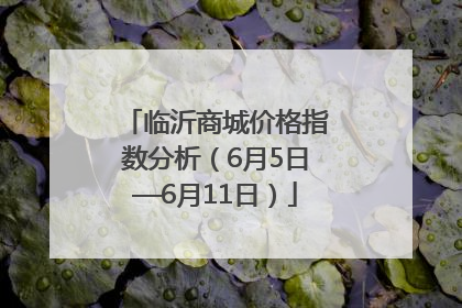 临沂商城价格指数分析（6月5日—6月11日）