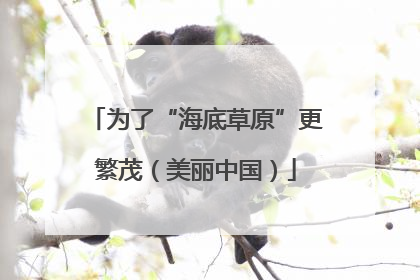 为了“海底草原”更繁茂（美丽中国）