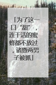 为了这一口“甜”，连干活的蜜蜂都不放过，诸暨两男子被抓