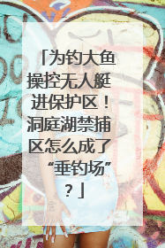 为钓大鱼操控无人艇进保护区！洞庭湖禁捕区怎么成了“垂钓场”？