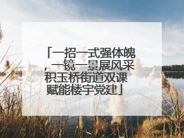 一招一式强体魄，一镜一景展风采 积玉桥街道双课赋能楼宇党建