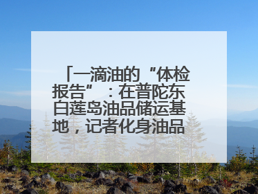 一滴油的“体检报告”：在普陀东白莲岛油品储运基地，记者化身油品化验员