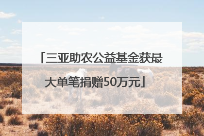 三亚助农公益基金获最大单笔捐赠50万元