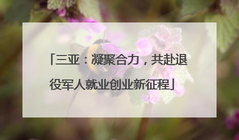 三亚：凝聚合力，共赴退役军人就业创业新征程