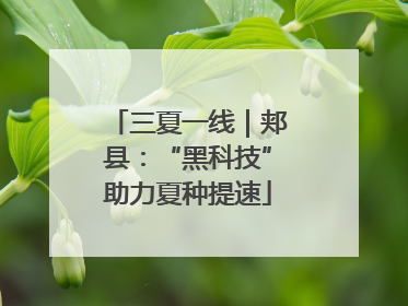 三夏一线｜郏县：“黑科技”助力夏种提速