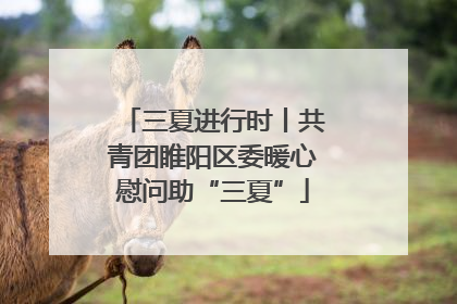 三夏进行时丨共青团睢阳区委暖心慰问助“三夏”