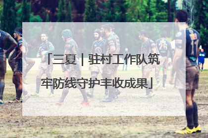 三夏｜驻村工作队筑牢防线守护丰收成果