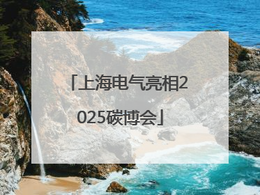 上海电气亮相2025碳博会