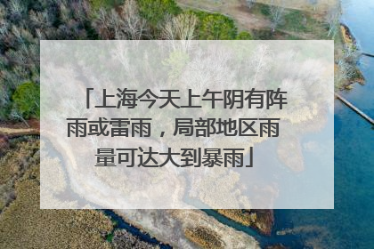 上海今天上午阴有阵雨或雷雨，局部地区雨量可达大到暴雨