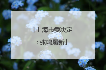 上海市委决定：张鸣履新