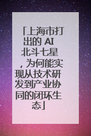 上海市打出的 AI 北斗七星，为何能实现从技术研发到产业协同的闭环生态