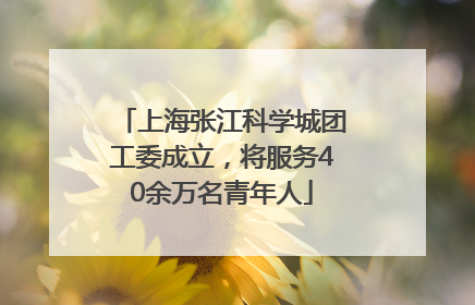 上海张江科学城团工委成立，将服务40余万名青年人