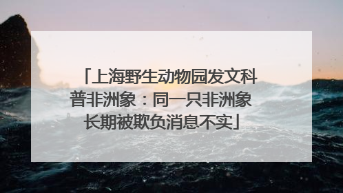 上海野生动物园发文科普非洲象：同一只非洲象长期被欺负消息不实
