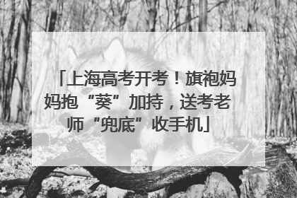 上海高考开考！旗袍妈妈抱“葵”加持，送考老师“兜底”收手机