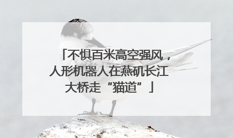 不惧百米高空强风，人形机器人在燕矶长江大桥走“猫道”