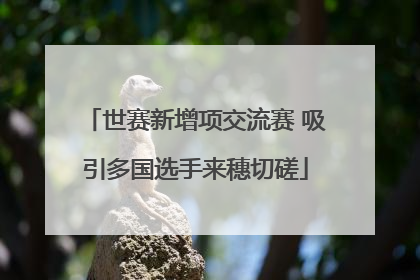 世赛新增项交流赛 吸引多国选手来穗切磋