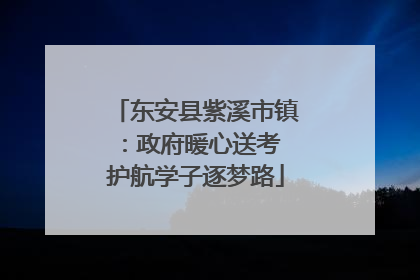 东安县紫溪市镇：政府暖心送考 护航学子逐梦路