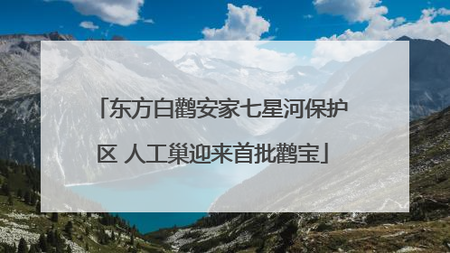东方白鹳安家七星河保护区 人工巢迎来首批鹳宝