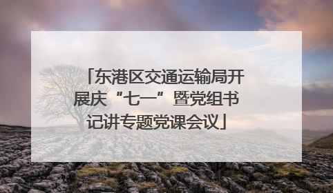 东港区交通运输局开展庆“七一”暨党组书记讲专题党课会议
