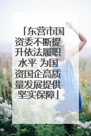 东营市国资委不断提升依法履职水平 为国资国企高质量发展提供坚实保障