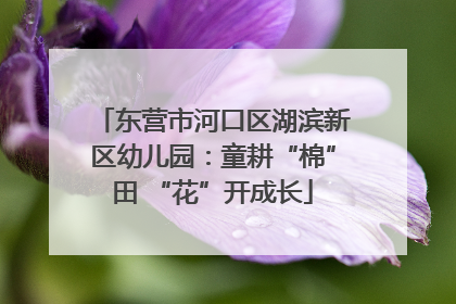 东营市河口区湖滨新区幼儿园：童耕“棉”田 “花”开成长