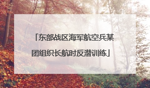 东部战区海军航空兵某团组织长航时反潜训练