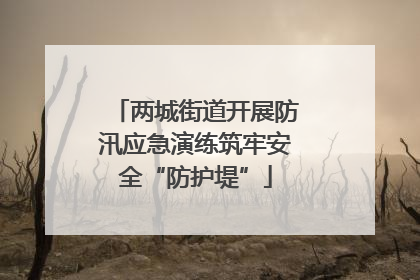 两城街道开展防汛应急演练筑牢安全“防护堤”